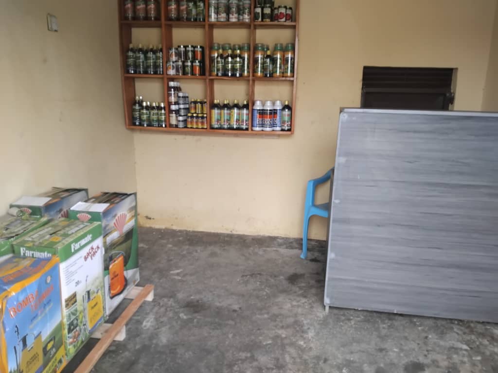 Main store interior - Organized inventory